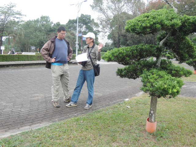 2015台灣新年數鳥-屏科大17