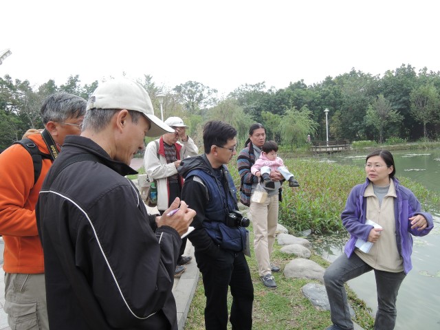 認識千禧公園水生植物-賴宜玲老師