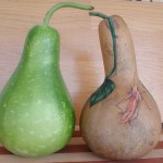 瓠瓜彩繪藝術 colour-painted Bottle gourd